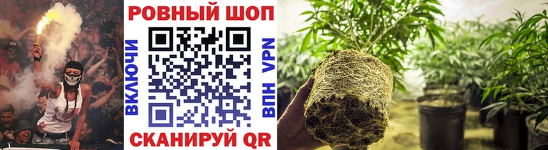 Купить наркотик аптеки Вытегра Гашиш Alpha-PVP Мефедрон