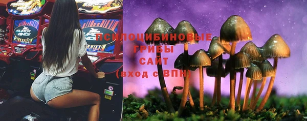 твердый Абаза
