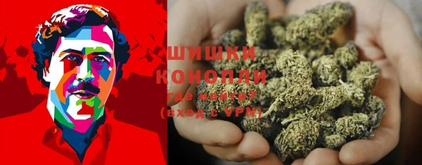 твердый Абаза
